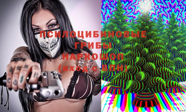 молекула духа Алзамай