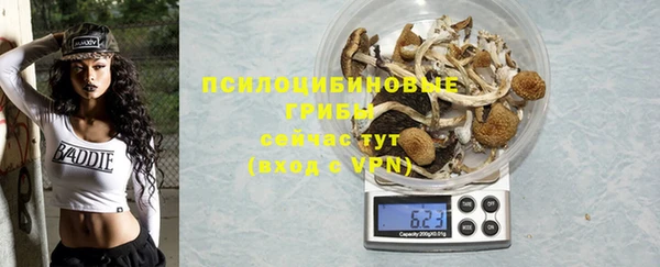 молекула духа Алзамай